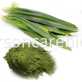 Pandan Powder